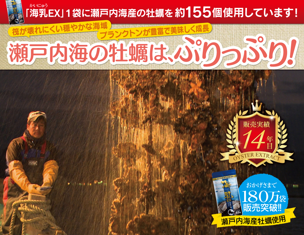 弱った肝臓や女性の貧血におすすめサプリ。海乳EX