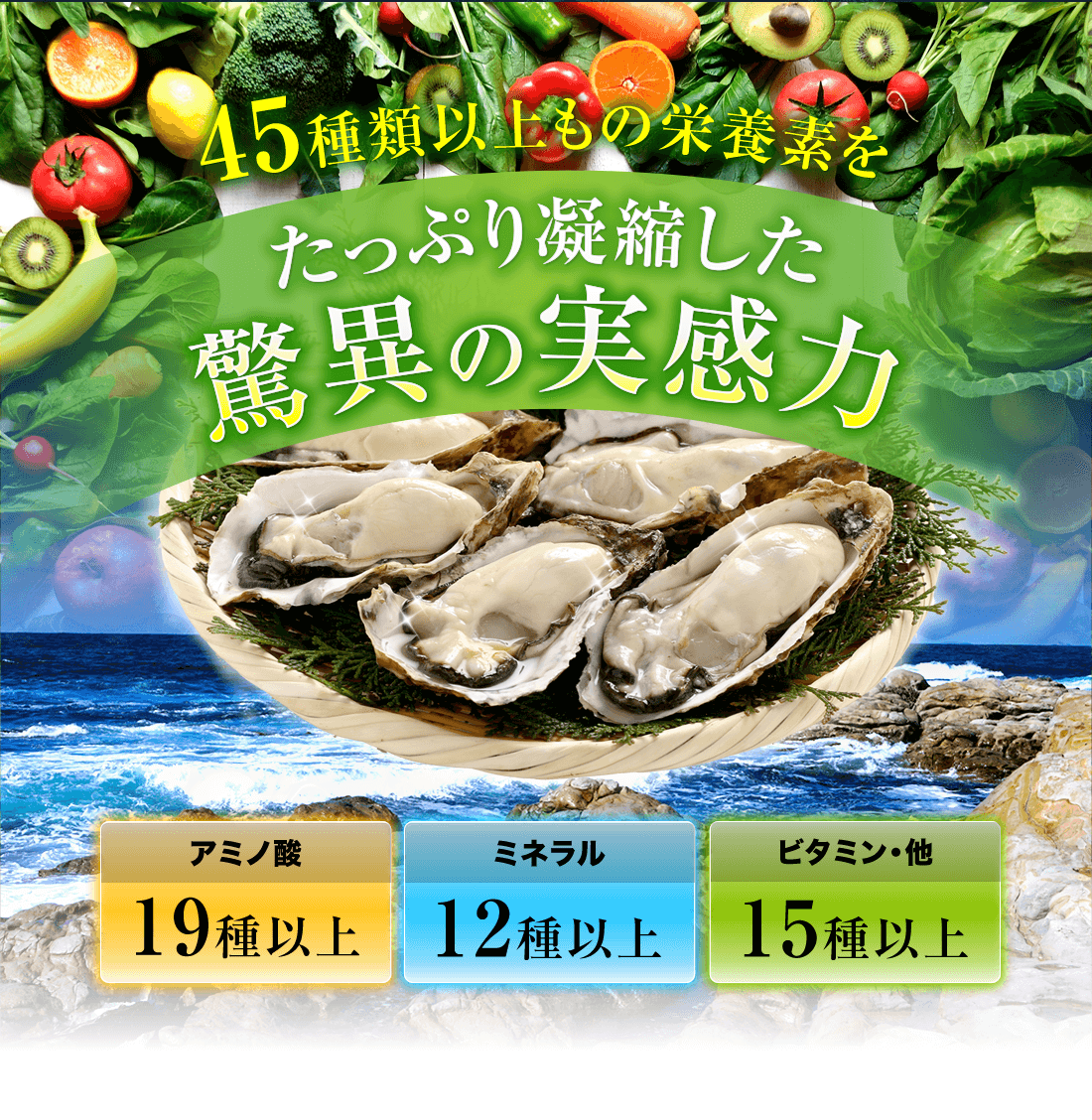 45種類以上もの栄養素をたっぷり凝縮した驚異の実感力